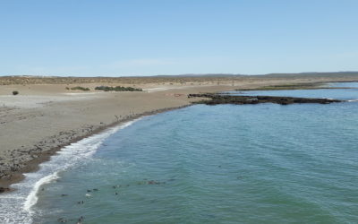 Líneas de Financiación para MiPyMes en medio de la pandemia